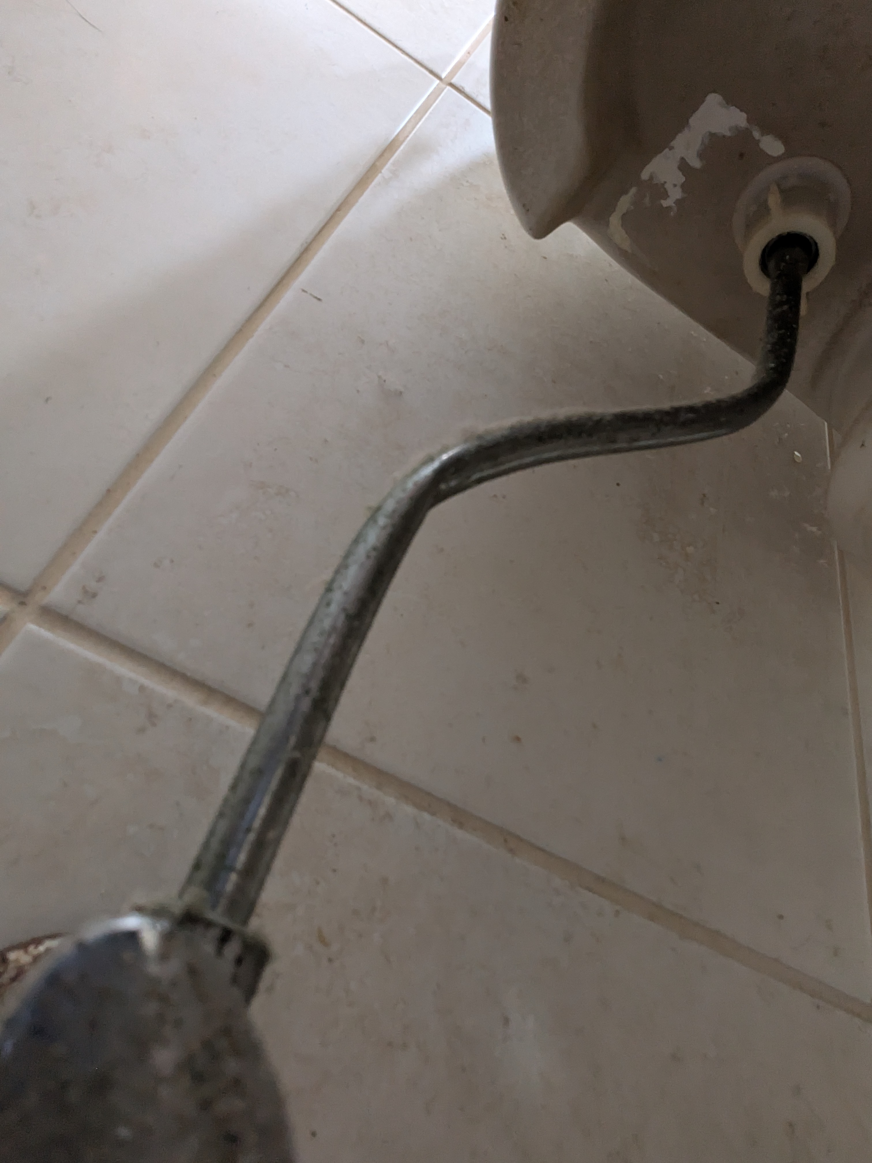 Photo by me: Actual rigid line that I was working with.